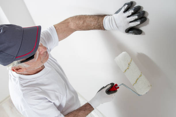 Best Fire-Damaged Drywall Repair  in Chester, SC