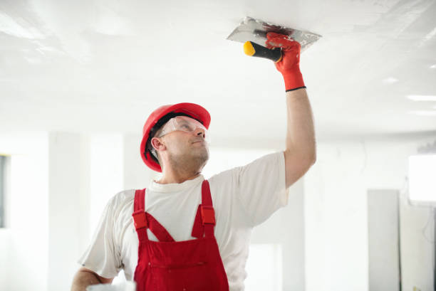 Best Ceiling Drywall Installation  in Chester, SC